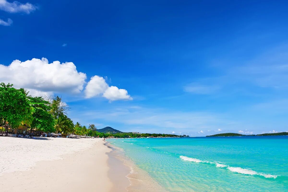 Experience Koh Samui’s history with guided tours